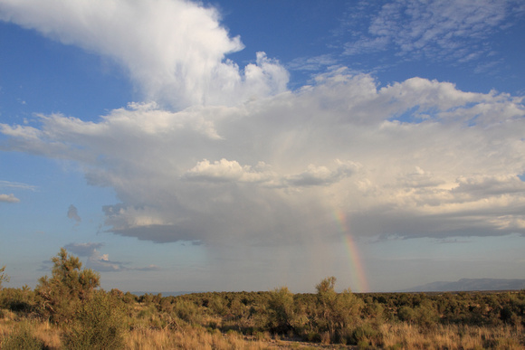 Classic isolated monsoon downpour
